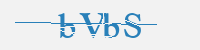 보안문자